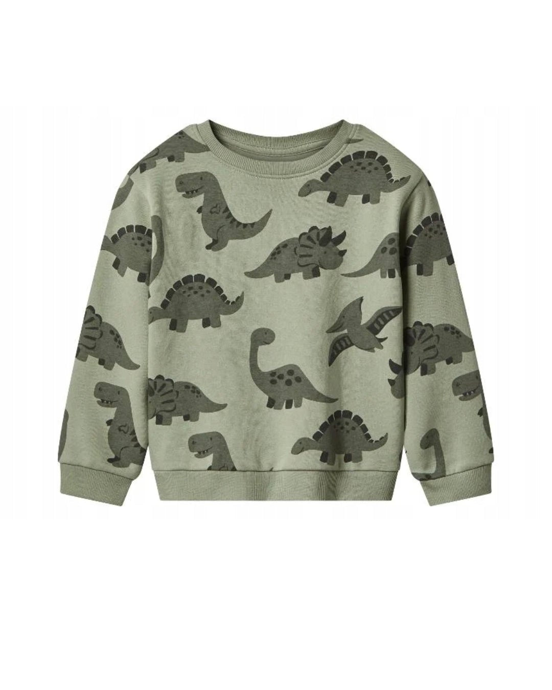 Lupilu Kids’ Dinosaur Sweat Set – Sage Green