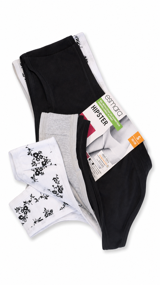 5 pieces of women's hipster Briefs